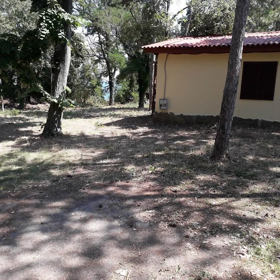 Къмпинг Енерджи Varna Campsite